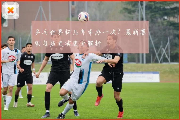 乒乓世界杯几年举办一次？最新赛制与历史演变全解析