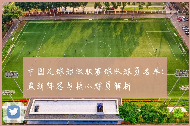 中国足球超级联赛球队球员名单:最新阵容与核心球员解析