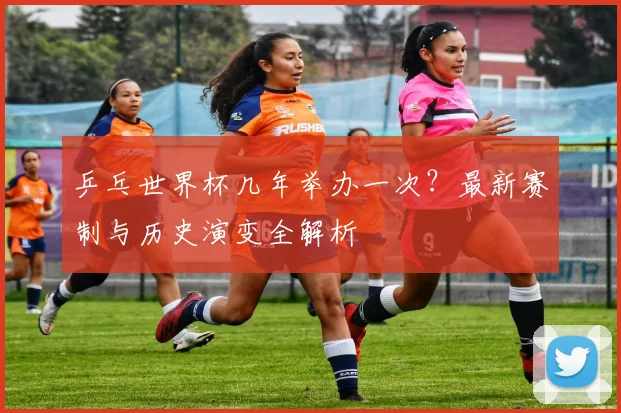 乒乓世界杯几年举办一次?最新赛制与历史演变全解析